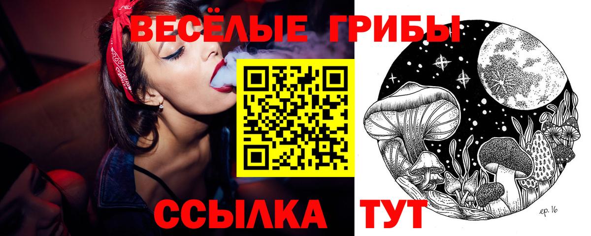 Псилоцибиновые грибы Psilocybine cubensis  Вход с VPN  Нефтекумск 