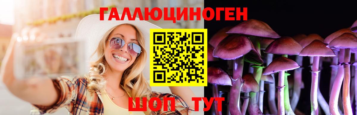 Галлюциногенные грибы прущие грибы Нефтекумск